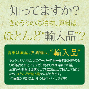 『きゅうり醤油漬け』100g×5袋セット【宮崎産きゅうり使用】生姜とゴマの風味がクセになるゆうパケット・代引不可（※代引きはゆうパケット対象外）