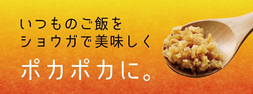 九州生姜のきざみ醤油漬け130g×3袋セット【国産】温活ご飯のおとも調理不要・簡単便利♪醤油風味の万能調味料！【ゆうパケット対応・代引き不可】（※代引きはゆうパケット対象外）【出荷目安：1〜2週間程度】