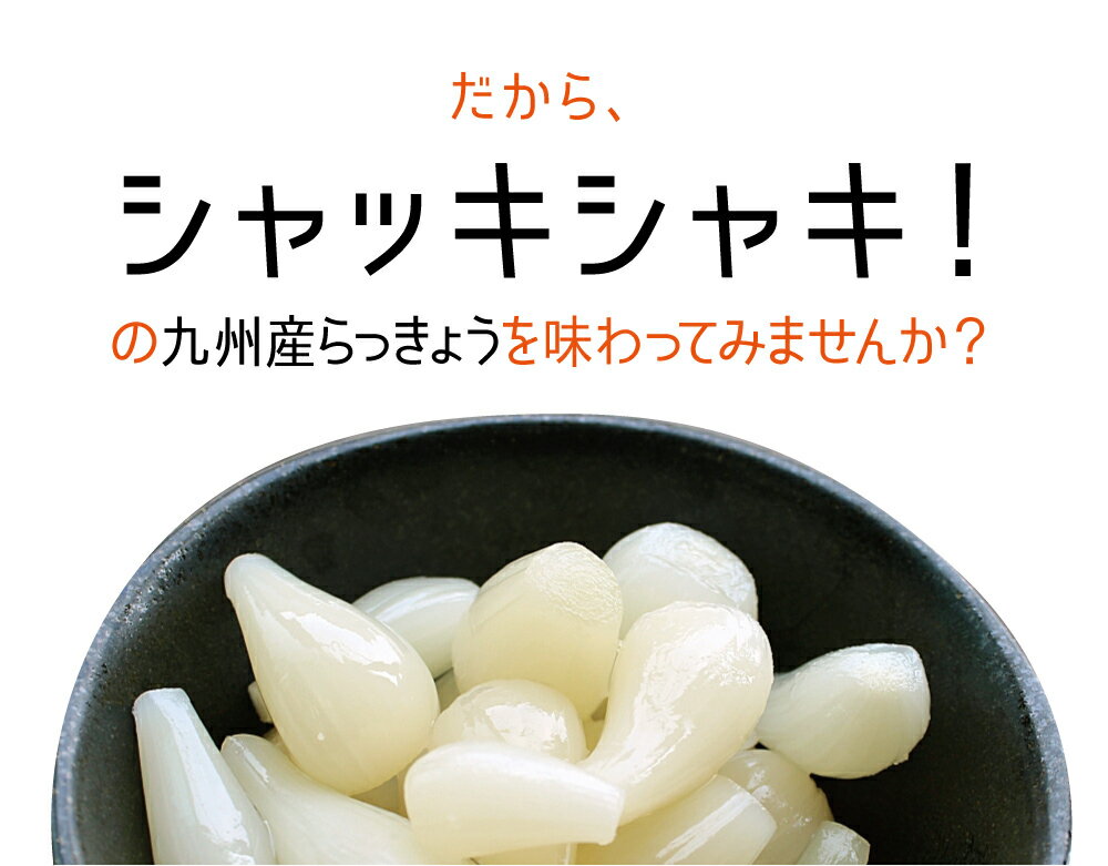 『甘らっきょう』20袋セット国産（宮崎県産）・常温便・送料無料【出荷目安：ご注文後1〜2週間】※粒サイズは不揃いです