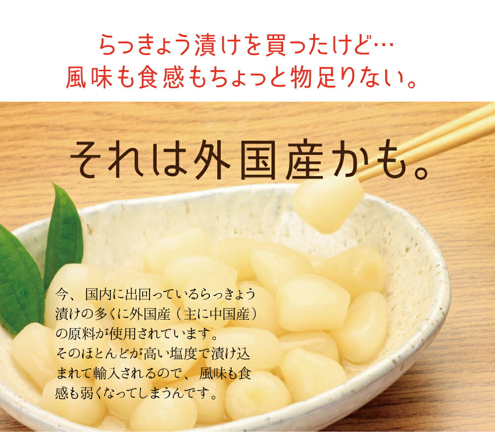 『甘らっきょう』20袋セット国産（宮崎県産）・常温便・送料無料【出荷目安：ご注文後1〜2週間】※粒サイズは不揃いです