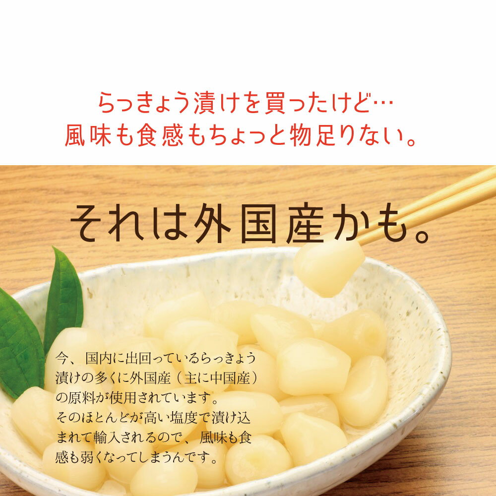 『九州キムチらっきょう』90g×3袋セット九州産らっきょうキムチ国産宮崎県産【ゆうパケット対応・代引不可】(※代引きはゆうパケット対象外)【出荷目安:5月下旬〜5月末△▼】※粒サイズは不揃いです