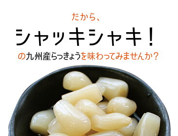 【新物】黒酢らっきょう』110g×3袋セット九州産 熟成 らっきょう 黒酢 国産 宮崎県産【ゆうパケット対応・代引不可】（※代引きはゆうパケット対象外）【出荷目安：ご注文後1〜2週間】※粒サイズは不揃いです