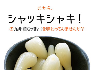 【新物】『熟成塩らっきょう』90g×3袋セット九州産 らっきょう 塩 熟成 国産 宮崎県産【ゆうパケット対応・代引不可】（※代引きはゆうパケット対象外）【出荷目安：ご注文後1〜2週間】※粒サイズは不揃いです