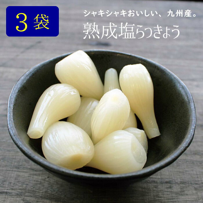 【SALE】『熟成塩らっきょう』90g×3袋セット 九州産 らっきょう 塩 熟成 国産 宮崎県産 【ゆうパケット対応・代引不可】 （※代引きはゆうパケット対象外） 【出荷目安：1〜2週間程度】 ※粒サイズは不揃いです《セール中は送料無料》