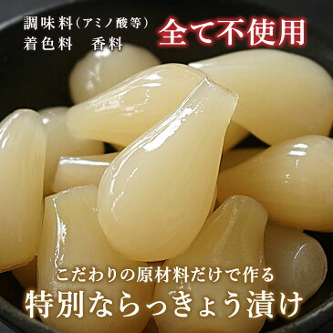 原料にこだわった国産らっきょう 『プレミアム 黄金らっきょう』500g(固形量)×1袋 九州産 熟成 らっきょう 甘酢 国産 宮崎県産【ゆうパケット対応・代引不可】 (※代引きはゆうパケット対象外) 【出荷目安:1〜2週間程度】