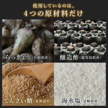 原料にこだわった国産らっきょう 『プレミアム 黄金らっきょう』500g(固形量)×1袋 九州産 熟成 らっきょう 甘酢 国産 宮崎県産【ゆうパケット対応・代引不可】 (※代引きはゆうパケット対象外) 【出荷目安:1〜2週間程度】