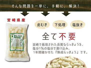 宮崎県産『熟成田舎らっきょう』500g【手作りらっきょう漬けに♪】【ゆうパケット対応・代引き不可】（※代引きはゆうパケット対象外）＜お届け目安：1〜2週間程度＞