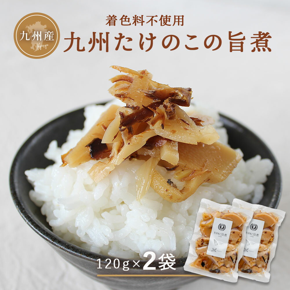 九州たけのこ旨煮120g×2袋 セット 宮崎県産 たけのこ ご飯のお供 惣菜 白ごはん ごはんのお供 筍 おかず 醤油 鰹節 合成着色料 保存料不使用 メール便 送料無料【出荷目安：ご注文後5日～7日】