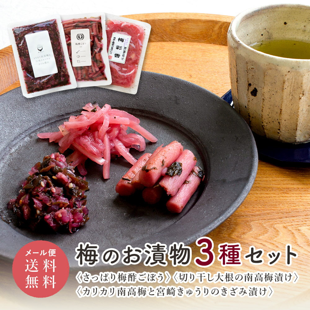 梅のお漬物3種セット 梅酢ごぼう・梅ときゅうりのきざみ漬け・切り干し大根の梅漬け ゆうパケット・代引不可 【出荷目安：ご注文後1〜2週間】
