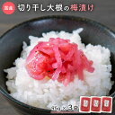 日の菜きざみ FP 京漬物 京都 老舗 漬物 日の菜 ひのな 京つけもの 漬け物 つけもの 塩漬け 塩漬 浅漬け 京土産 お土産 土井志ば漬本舗