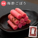 ピンク甘酢生姜 (1kg×10袋) 有限会社藤森食品 1箱 送料無料