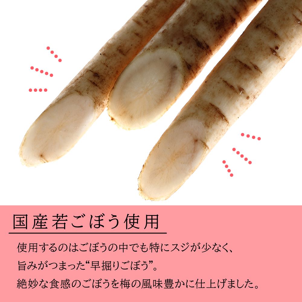 国産 漬物 梅酢ごぼう80g×3袋 ごはんのお供 梅 牛蒡 国産 ごぼう お漬物 ポイント消化 ポッキリ 買いまわり 副菜 白ごはん お惣菜 一品 常温 常備菜 梅酢 酢 酢の物 送料無料【出荷目安：ご注文後5日～7日】 3