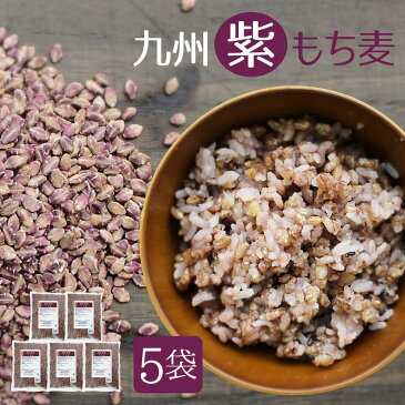 『九州紫もち麦』1kg×5袋ダイエット・健康管理に!【国産(九州産)もち麦】水溶性食物繊維βグルカンたっぷり!通常便・ゆうパック【1〜2週間程度】