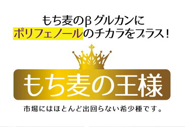 『九州紫もち麦』1kg×5袋ダイエット・健康管理に!【国産(九州産)もち麦】水溶性食物繊維βグルカンたっぷり!通常便・ゆうパック【1〜2週間程度】