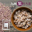 『九州紫もち麦』1kg×1袋ダイエット・健康管理に！【国産（九州産）もち麦】水溶性食物繊維βグルカンたっぷり！ゆうパケット対応【代引不可】（※代引きはゆうパケット対象外）【1〜2週間程度】