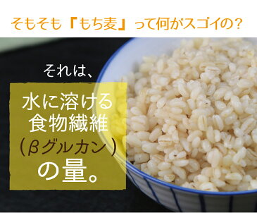 【在庫限り】九州産 もち麦 1kg×1袋 水溶性食物繊維 βグルカンたっぷり ダイエットにも ゆうパケット対応【代引不可】（※代引きはゆうパケット対象外）