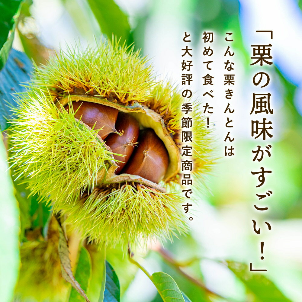 【先着限定クーポン】【数量限定】濃厚栗きんとん栗ぼぅ180g×1本国産宮崎県産無添加栗きんとん和菓子スイーツ秋ゆうパケット・代引不可【メール便送料無料】【出荷目安:ご注文後1〜2週間】