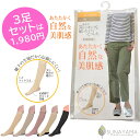 \最大20%OFFクーポン配布&ポイント5倍 お買い物マラソン期間限定/ 【メーカー公式ストア】 しっかり補正美肌感 少し厚手 ストッキング 靴下 ソックス 綺...