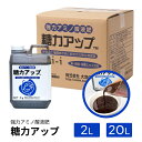 強力アミノ酸液肥 糖力アップ