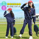 【2980円以上購入で10%OFF!】キッズセットアップ ジャージ 2点セット 秋冬 ラウンドネック トレーナー プルオーバー 長袖 ラインパンツ 長ズボン キ...