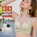 【期間限定:300円OFF!よりどり2点購入で】脇高 補正 ブラ ノンワイヤー ブラ 育乳ブラ レース 刺繍 花 しっかり やわらか 美胸 リフトアップ ブラジ...