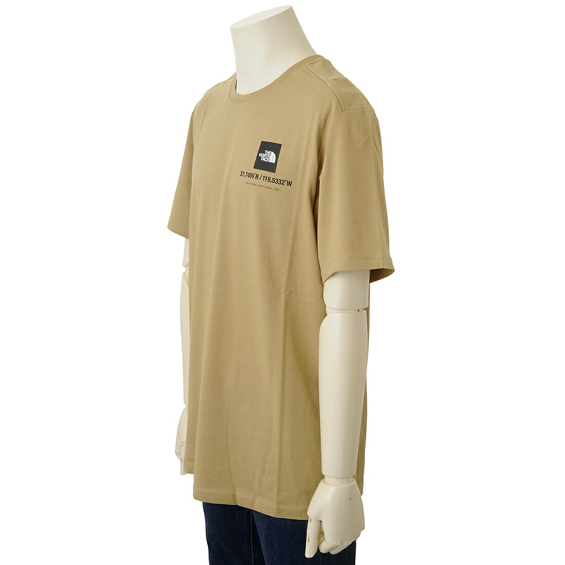 THE NORTH FACE ザ ノースフェイス Tシャツ 半袖 メンズ 0A826XLK5 COORDINATES S/S TEE