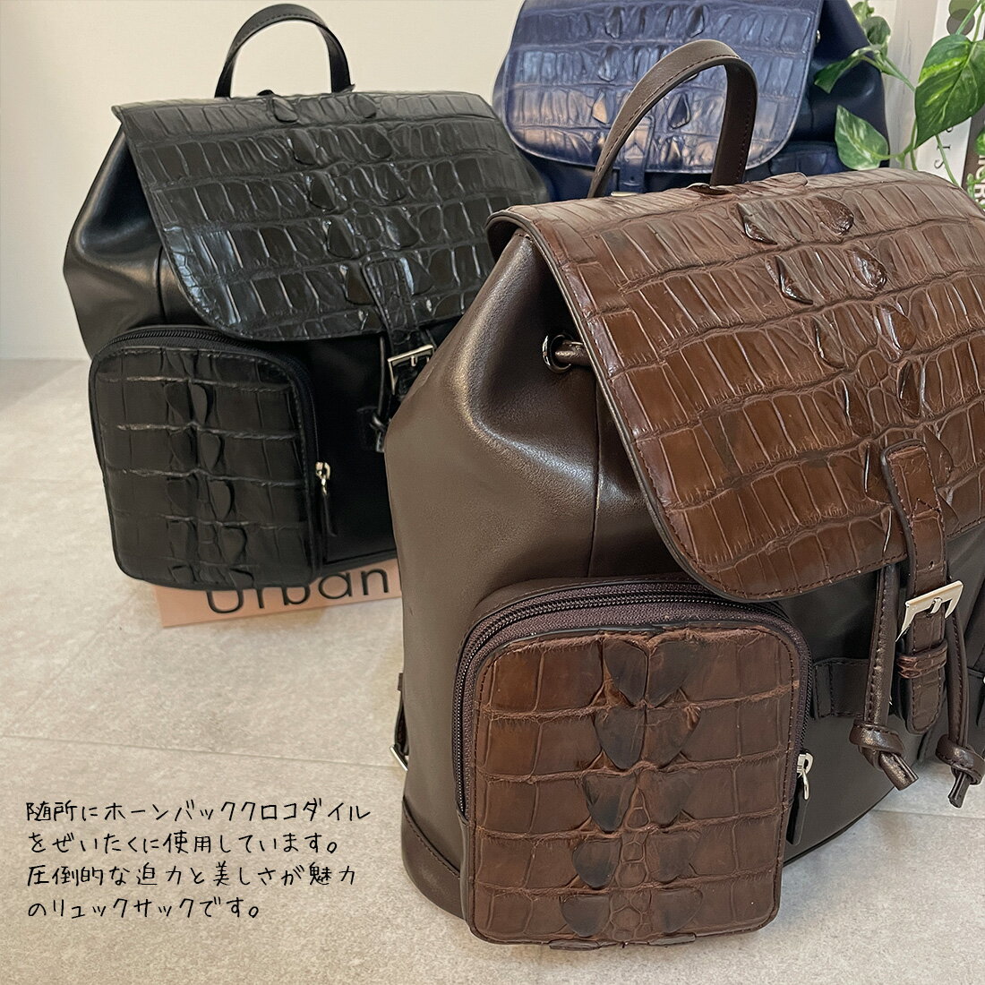 fashion sale ポイント10倍 クロ...の紹介画像3