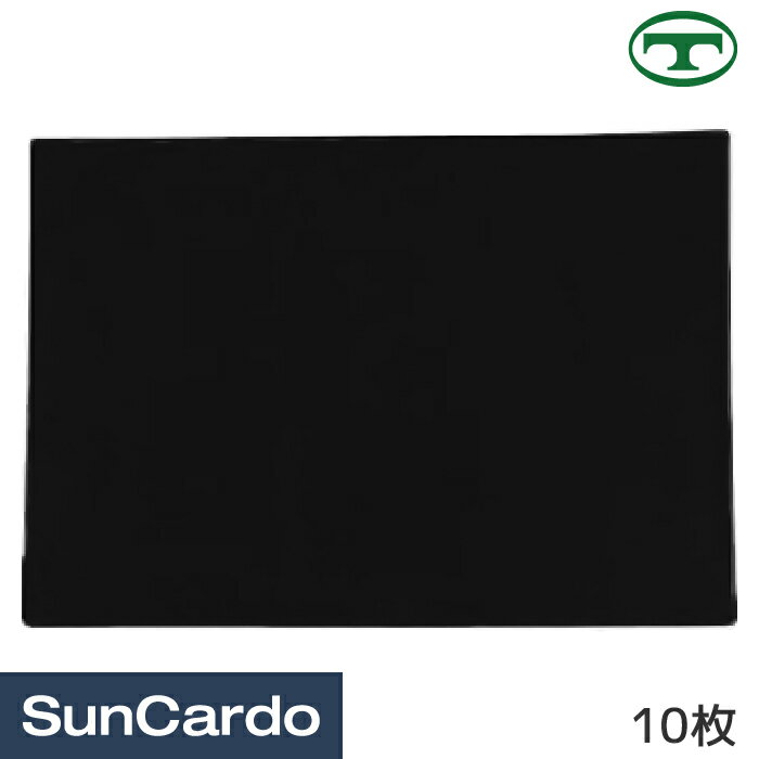 【9/4〜9/11 楽天スーパーSALE期間P最大10倍】車検証入れ 車検証 無地 オリエンタルトレイド 1枚物車検証入 黒 10枚 O3Tのサムネイル