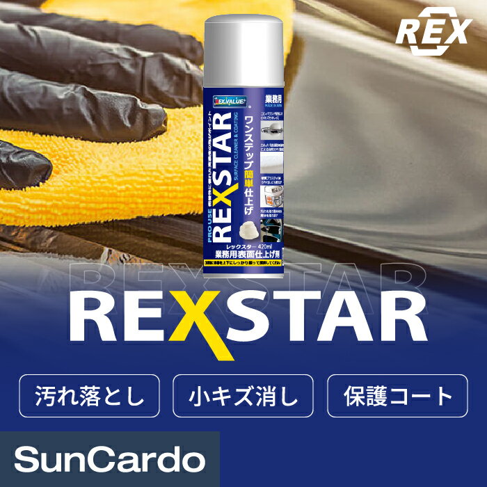 R[eBO bNX  ꗎƂ LY ی  REX(bNX) REXSTAR bNX^[ 1{ RSX420