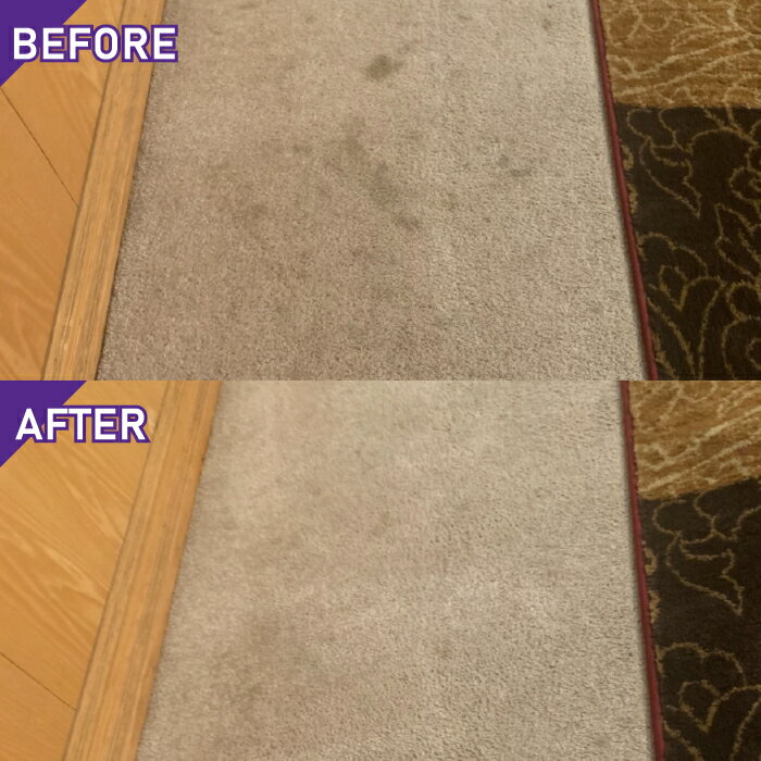 【マラソン期間P最大29倍】シミ落とし しみ落とし シミ取り 汚れ落とし クリーナー FOLEX(フォレックス) インスタントカーペットスポットリムーバー 32oz(946ml) 3