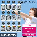 suncardo:10043779のサンプル画像1