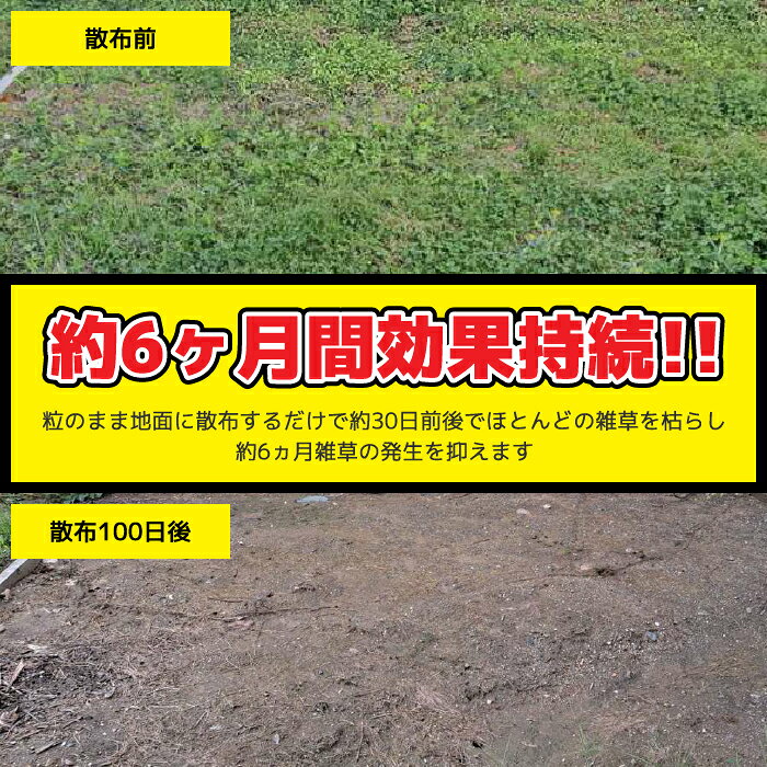 【マラソン期間P最大29.5倍】除草剤 粒剤 園芸 ガーデン シンセイ 強力除草剤 草枯...