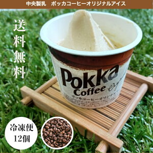 【エントリーでポイント10倍】中央製乳 ポッカコーヒー オリジナルアイス　12個入詰め合わせ カップ ギフト デザート ジェラート 豊橋 お礼 お返し 贈り物 ポッカ 珈琲 顔 ご当地 送料無料 お見舞