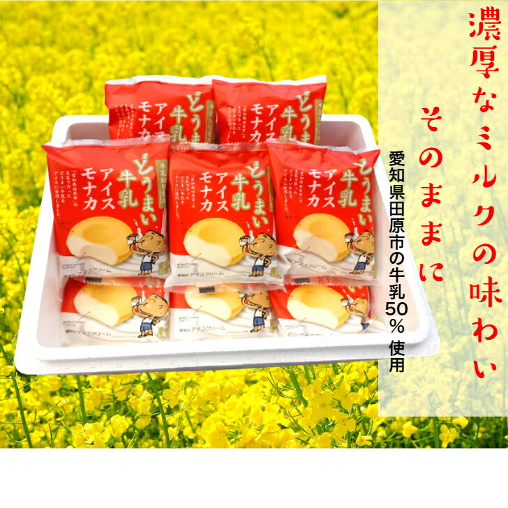 ������� �ɤ��ޤ�������������ʥ� 10���� (120g��10) �� ˭�� �ĸ� ���ե� ���ۻ� ��������ʥ� �ץ쥼��� ��ǯ�� ���� ��ǯ��