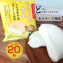 中央製乳 どうまい牛乳アイスモナカ カスタード風味20個入 120ml 国産 豊橋