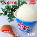 中央製乳 フローズンヨーグルト 12個入アイス ロングセラー カップ ギフト デザート 豊橋 給食  ...