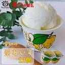 中央製乳 愛知の梨あいす 12個入 国産 豊橋 母の日 ゴールデンウィーク 父の日