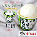 中央製乳 渥美半島のめろんのあいす 12個入 国産 豊橋
