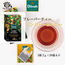 ディルマ フレーバーティー ジンジャー&ハニー 2g×20 個包装ティーバッグ GINGER AND HONEY