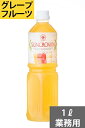 SUNC グレープフルーツ業務用濃縮ジュース1L 希釈タイプ 【果汁濃縮グレープフルーツジュース】