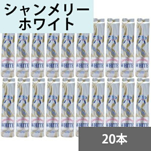 シャンメリー（ホワイト）　360mlビン×20本