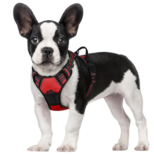 サイズ: Sサイズ (x 1) Rabbitgoo 犬 ハーネス 小型犬 5-15KG ソフト かわいい 犬用胴輪 引っ張り防止 ..