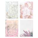 色:スプリング モノライク スプリング メモパッド Spring Memo pad 4セット- 相異なるデザイン,デザイン一個につき100枚,メモパッド