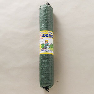 ����� ����UV�ڤΤ��� 10�� UV���۹� �ɺ� �峲 �ɺ����� �ڤΤ���