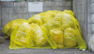 カラスネット黄色 1.5×1.5m 防鳥ネット 害鳥対策 ゴミ置き場 農業資材 防鳥資材