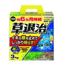 住友化学園芸 草退治E粒剤 3kg【非農耕地用】 粒状除草剤