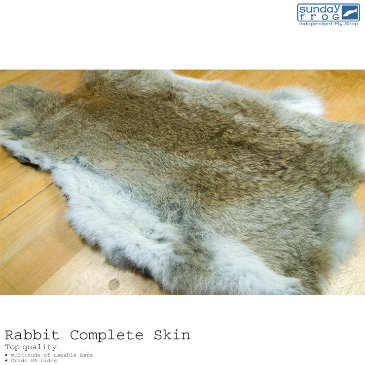 Rabbit Complete Skin ӥå ץ꡼ȥ