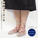 Lサイズ シースルー ショート丈 ソックス 25-27cm ande アンデ 12040 シースルー レディース ソックス 靴下 足元 おしゃれ 雑貨 かわいい おしゃれ オシャレ ラッピング ギフト プレゼント