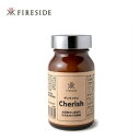 ファイヤーサイド チェリッシュ FIRESIDE 29975 天然 研磨剤 銅製品 調理器具 掃除 コッパー おしゃれ キャンプ アウトドア