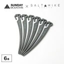 別注バイトステーク グレー 6本入り BITE STAKE サルタハイク SALTAHIKE×SUNDAYMOUNTAIN 鍛造ペグ 高耐久 高抵抗力 強度 アーク型 円弧型 スタッキング テント タープ 設営 固定 小物 杭 ファクトリーブランド originalitem キャンプ アウトドア